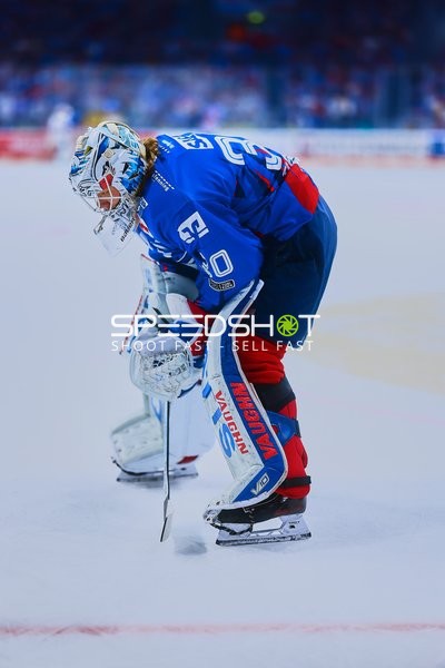 Adler Mannheim Torwart konzentriert sich