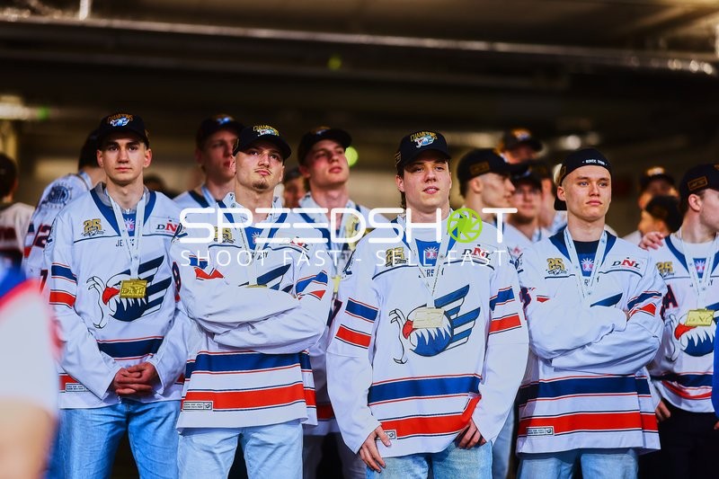 Adler Mannheim Spieler während der DEL Playoffs