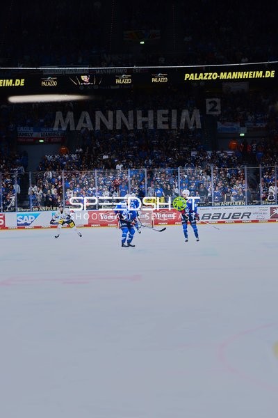 Eishockeyspieler während des Spiels in Mannheim