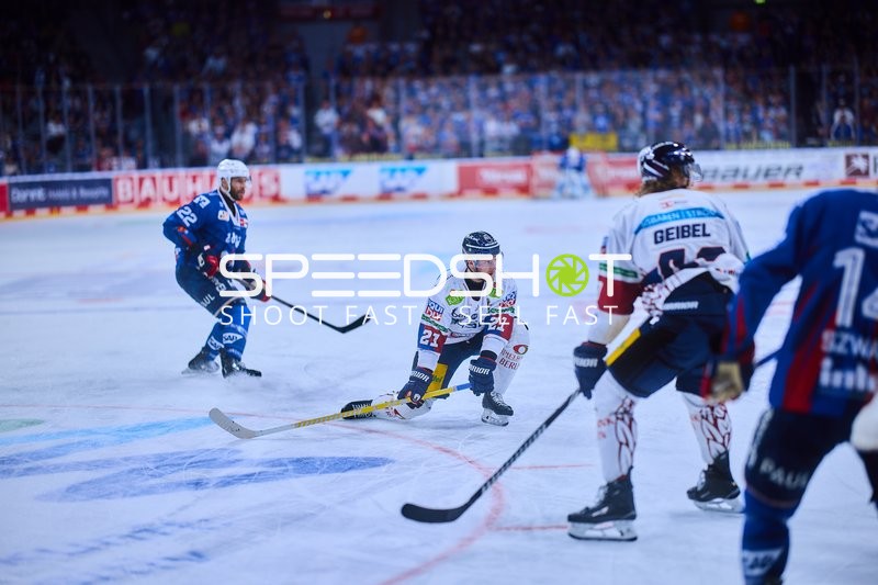 Adler Mannheim vs Eisbären Berlin: Intensives Tackling