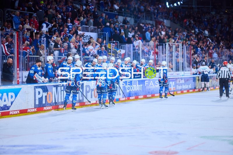 Adler Mannheim auf der Spielerbank