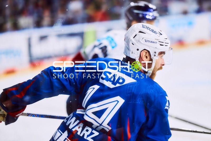 Adler Mannheim in Aktion