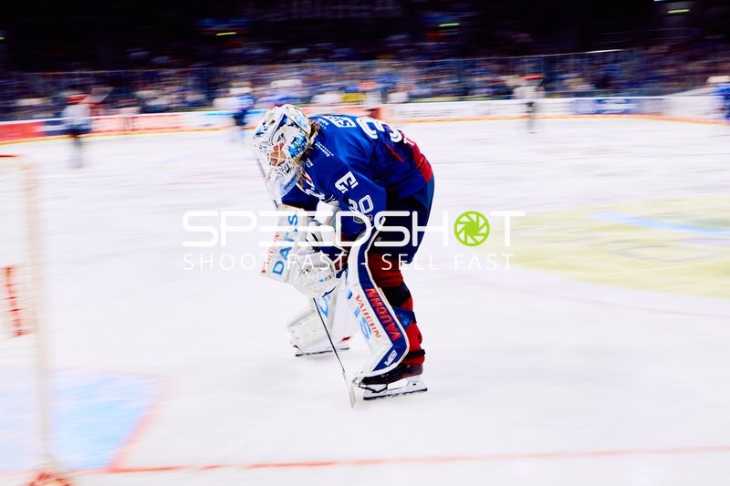 Adler Mannheim Torwart konzentriert im Playoff-Kampf