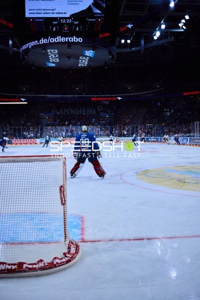 Torhüter der Adler Mannheim steht bereit