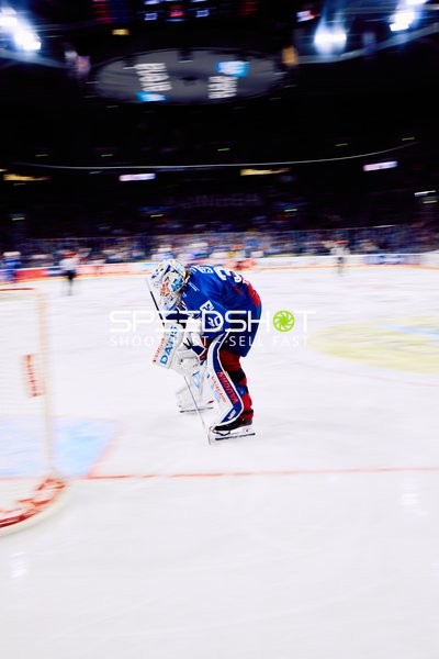 Torwart der Adler Mannheim konzentriert im Tor