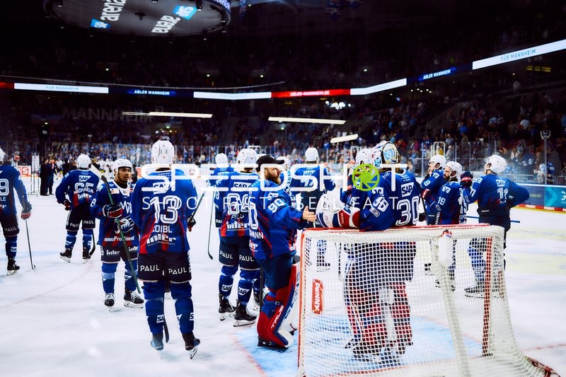 Adler Mannheim Spieler versammeln sich auf dem Eis