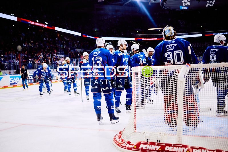 Adler Mannheim feiern auf dem Eis