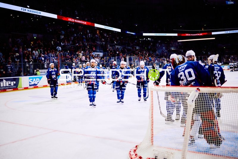 Adler Mannheim feiern Sieg im Halbfinale