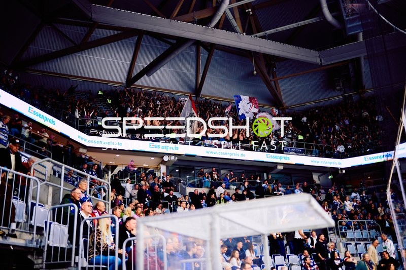 Jubel der Adler Mannheim Fans in der SAP Arena