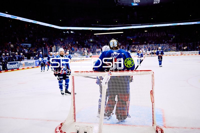 Adler Mannheim feiern vor heimischem Tor