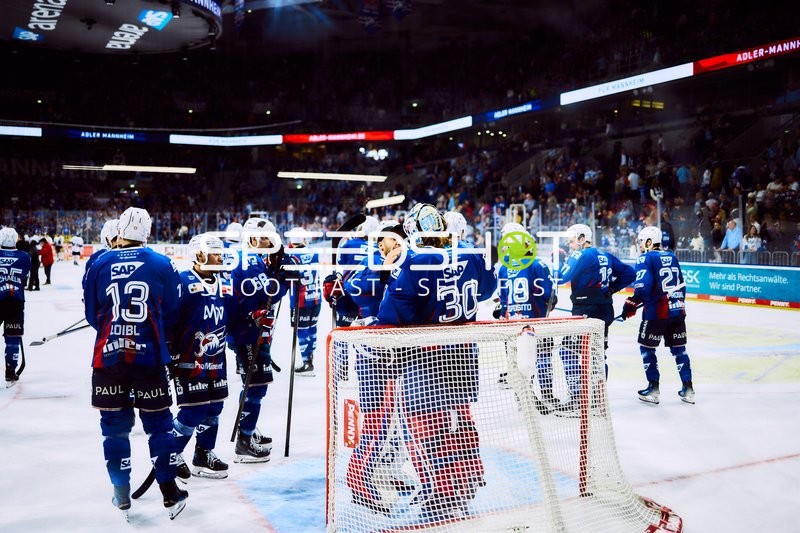 Adler Mannheim Jubeln nach Playoff-Sieg
