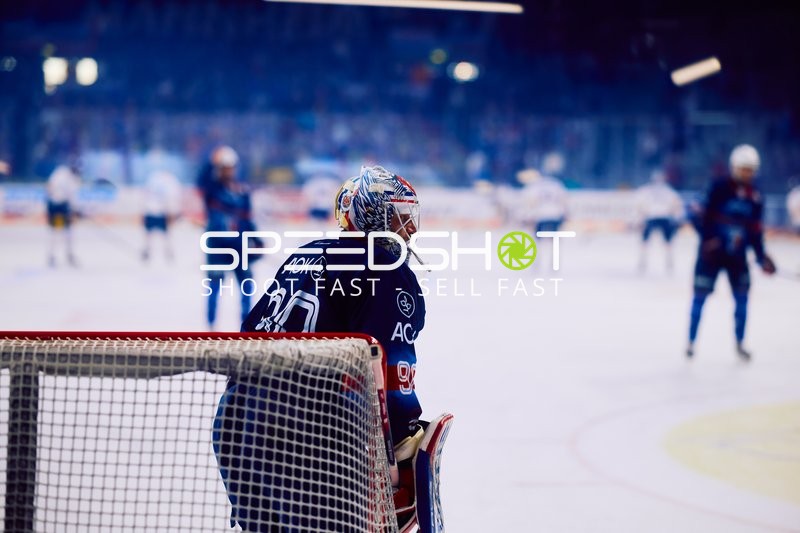 Adler Mannheim Torwart in Verteidigungsposition