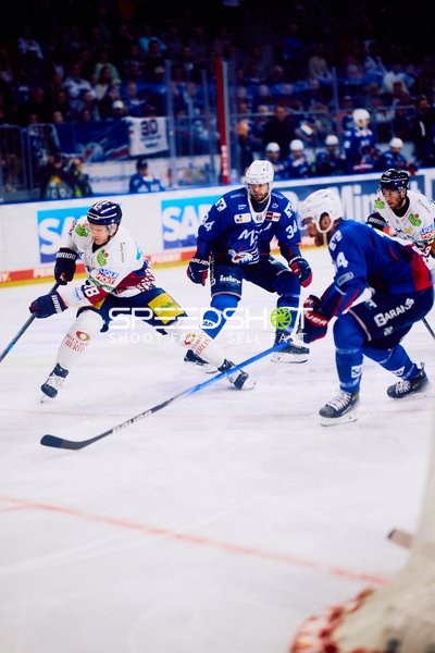 Puckkampf zwischen Adler Mannheim und Eisbären Berlin