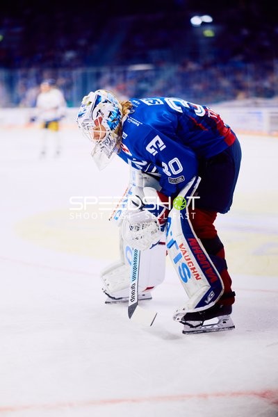 Adler-Torwart in Aktion