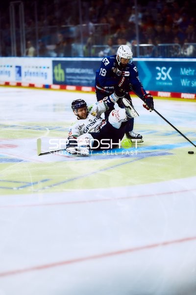 Nummer 19 von Adler Mannheim im Check gegen Eisbären Berlin