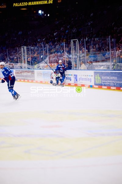 Adler Mannheim gegen Eisbären: Intensiver Lauf entlang der Bande