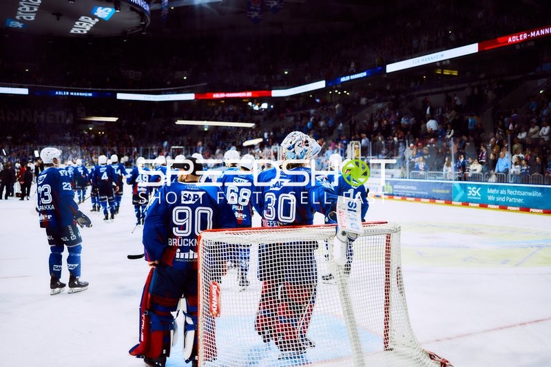 Adler Mannheim unterliegt Eisbären Berlin