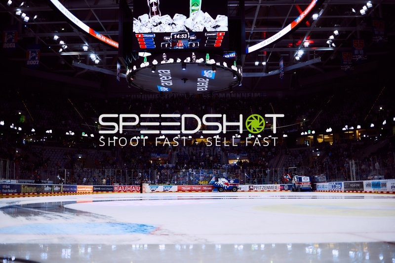 Spiel in der SAP Arena: Adler gegen Eisbären