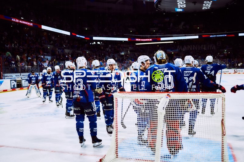 Adler Mannheim versammeln sich während des Spiels