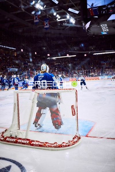 Adler Mannheim Torwart in Verteidigungsposition
