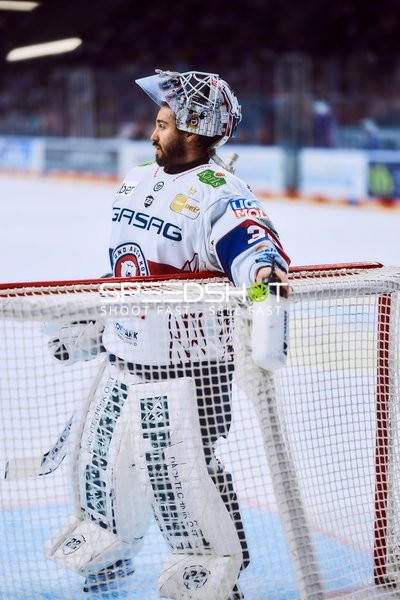 Torwart der Eisbären Berlin wartet im Tor