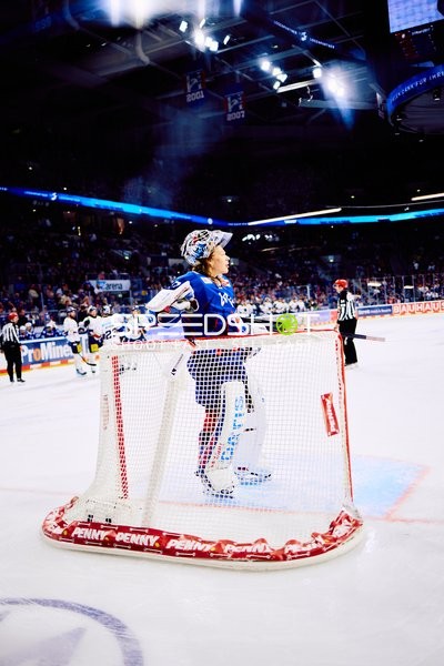 Torwart der Adler Mannheim im 2. Drittel