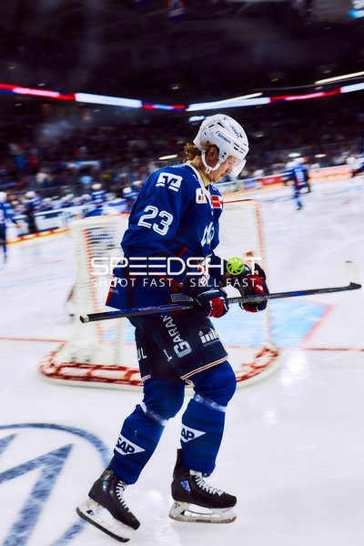 Adler Mannheim Spieler läuft über das Eis