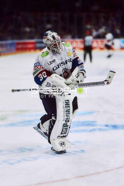 Torwart der Eisbären Berlin in Aktion
