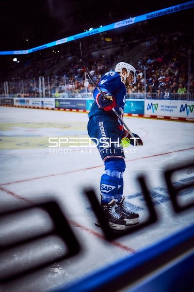Adler Mannheim in Aktion