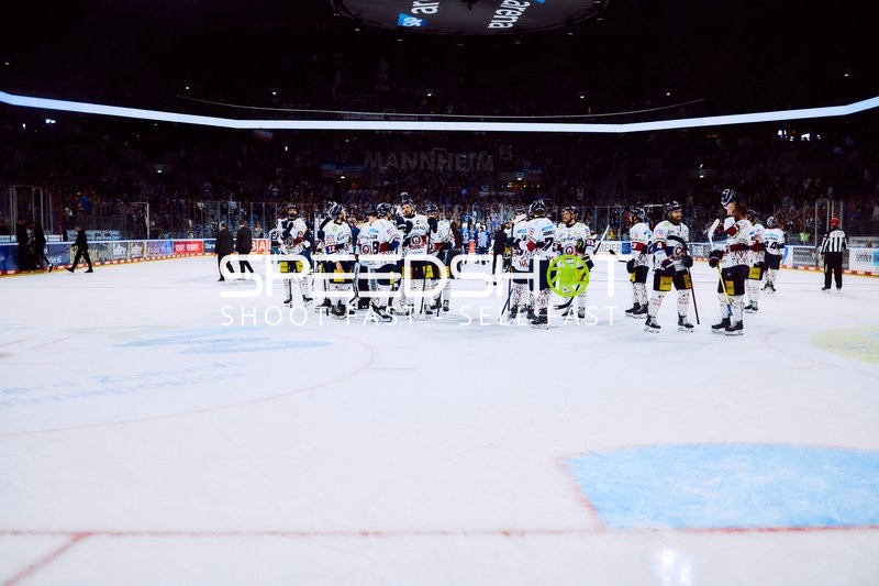 Eisbären Berlin auf dem Eis