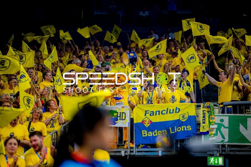 Handball I Herren I Saison 2024-2025 I DHB-Pokal I Halbfinale I Rhein-Neckar Löwen - THW Kiel I 12.04.2025