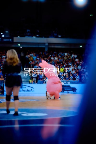 Maskottchen auf dem Spielfeld