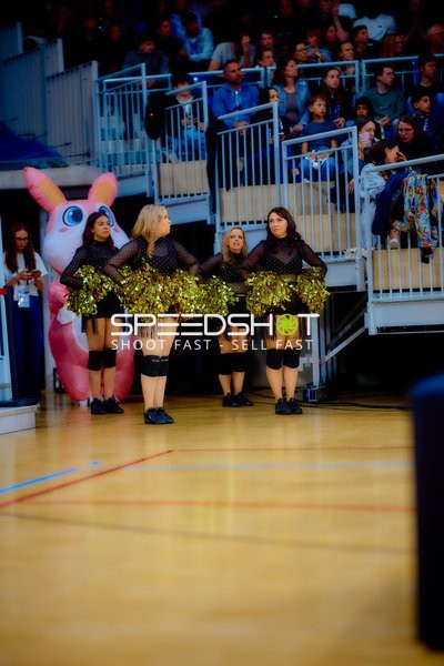 Cheerleader präsentieren Pompons am Spielfeldrand