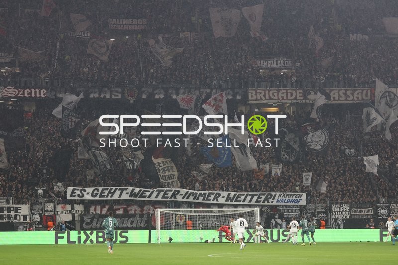 Begeisterte Fans im Stadion