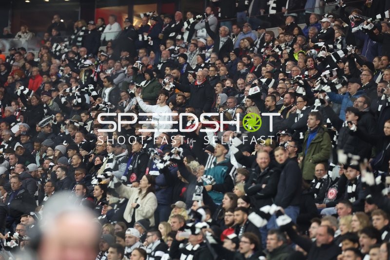 Fans feiern im Stadion