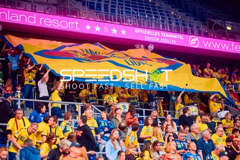 1. Handball-Bundesliga, Rhein-Neckar Löwen - SC DHfK Leipzig; 20.03.2025