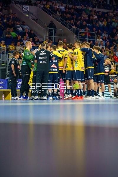 Rhein-Neckar-Löwen im Kreis