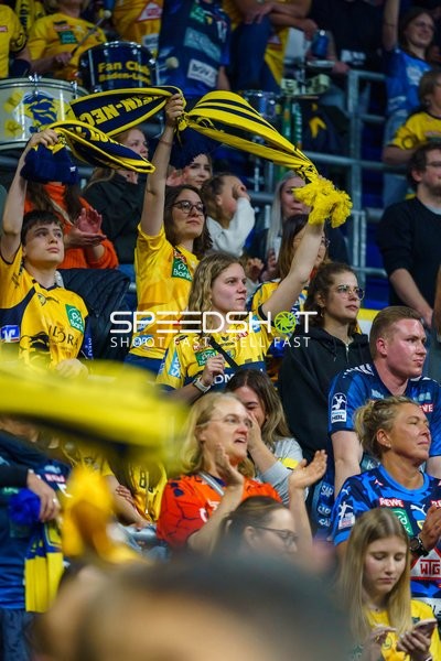 Fans der Rhein Neckar Löwen jubeln