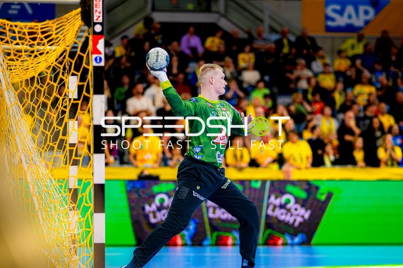 Handball I Herren I Saison 2024-2025 I Daikin HBL I 27. Spieltag I Rhein-Neckar Löwen - DHfK Leipzig I 24.04.2025