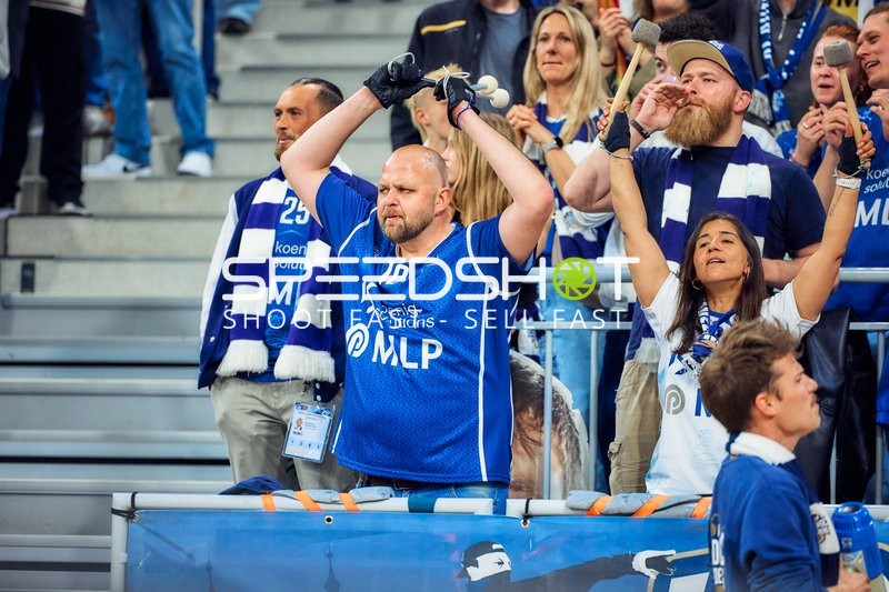 Fans der MLP Academics Heidelberg jubeln