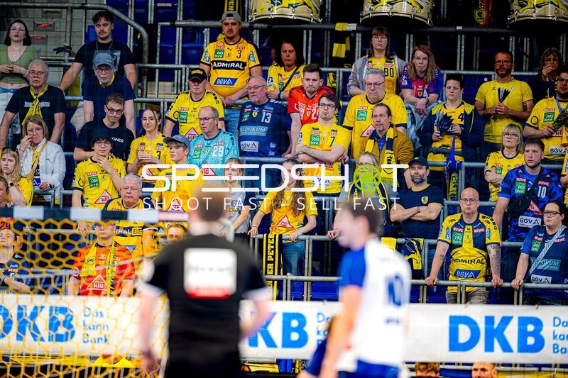 Publikum bei Handballspiel