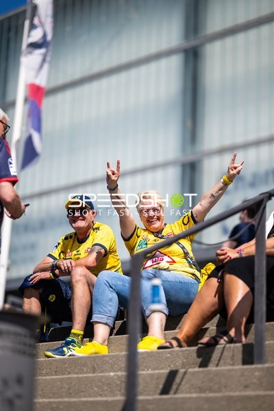 Fans der Rhein Neckar Löwen jubeln