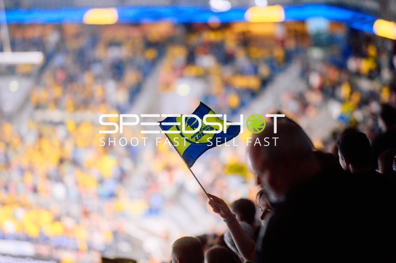 Jubel bei Rhein Neckar Löwen