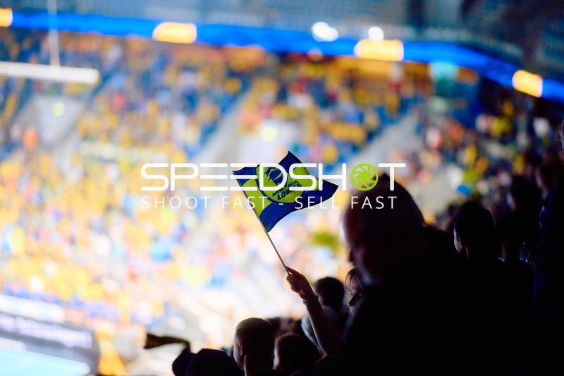 Fans feiern in der Arena