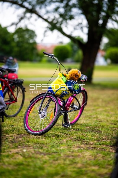 Spielfeldszene ohne Aktion