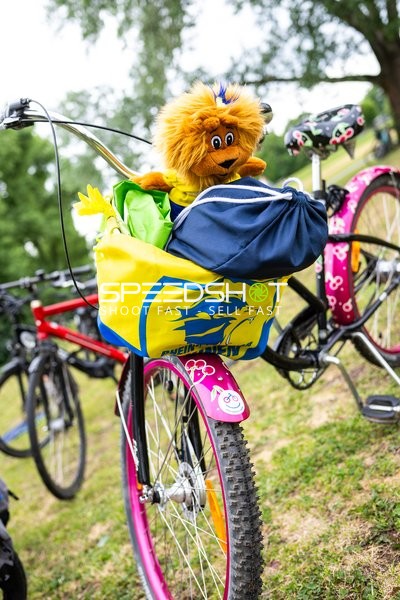 Spielfeld-Impression ohne Aktion