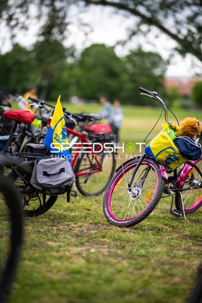 Fan-Flaggen von Rhein Neckar Löwen