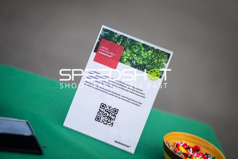 Spielfeld-Impression