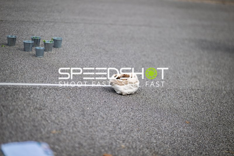 Spielfeld-Impression ohne Aktion