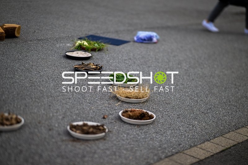 Spielfeldszene ohne Aktion